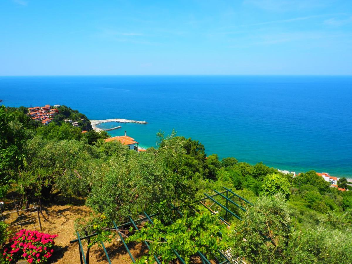 Agios Ioannis  Felitsia Apartments & Studios المظهر الخارجي الصورة
