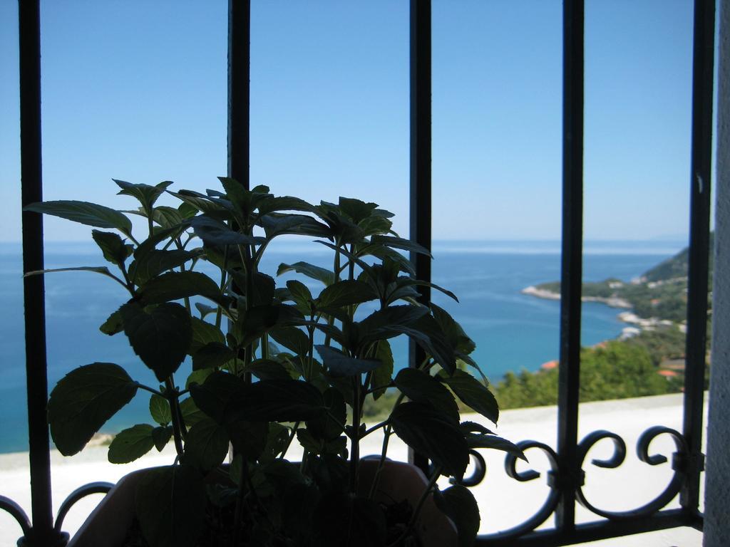 Agios Ioannis  Felitsia Apartments & Studios المظهر الخارجي الصورة