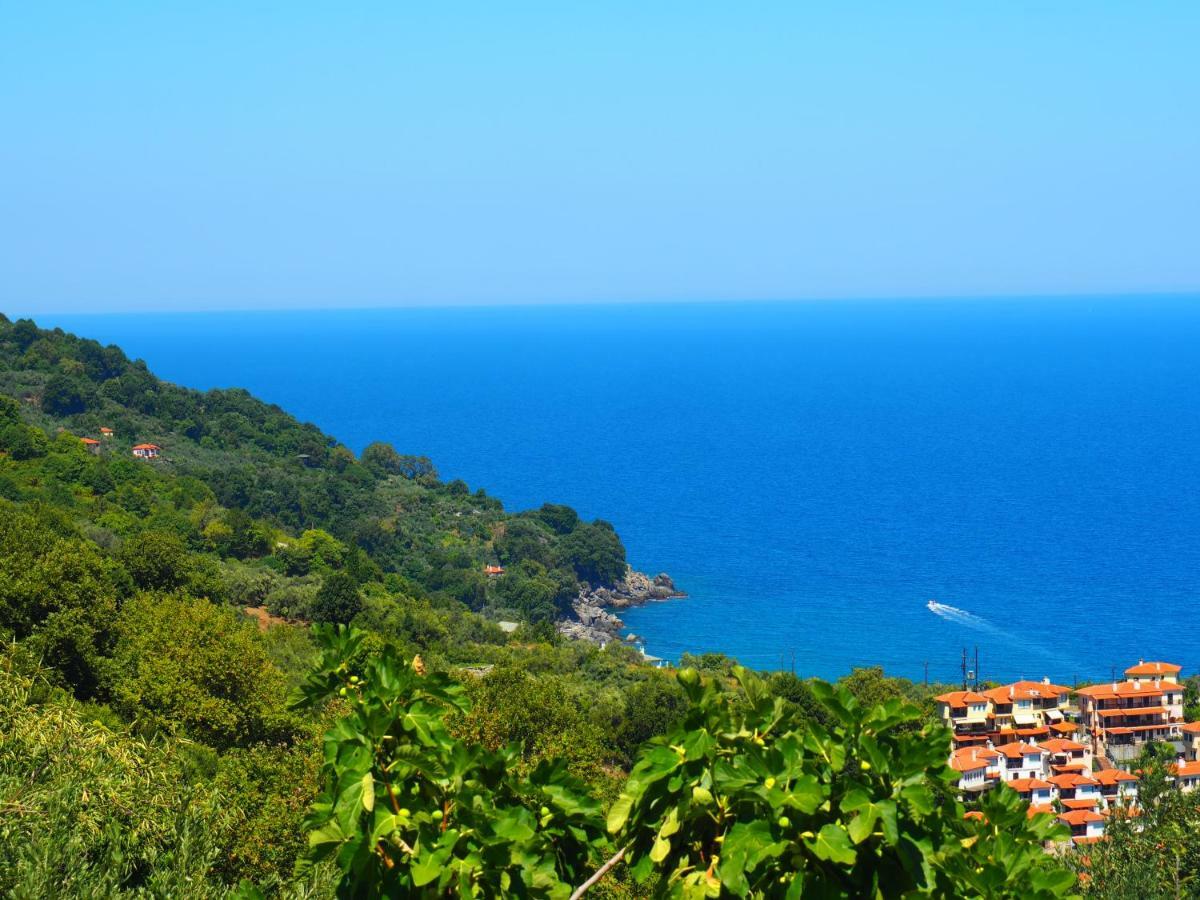 Agios Ioannis  Felitsia Apartments & Studios المظهر الخارجي الصورة